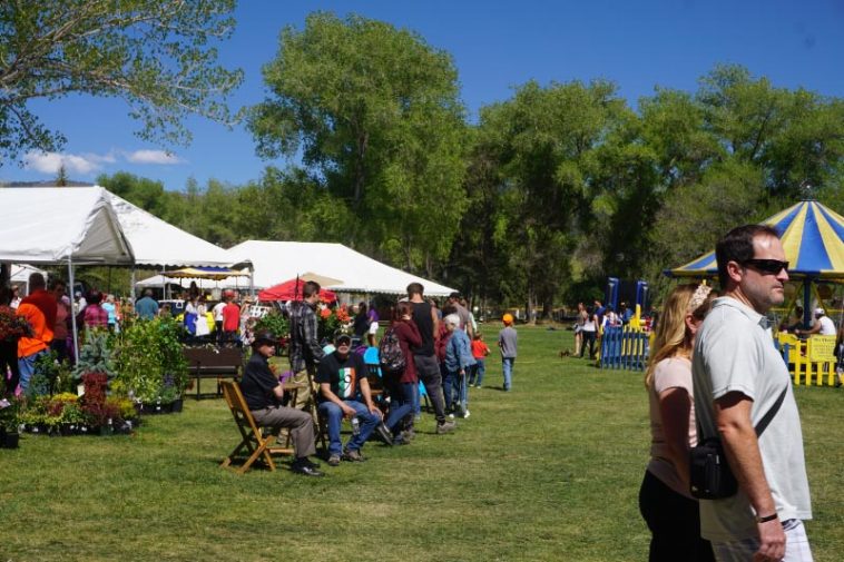 Taos Lilac Festival A fun filled festival celebrating the blooming of